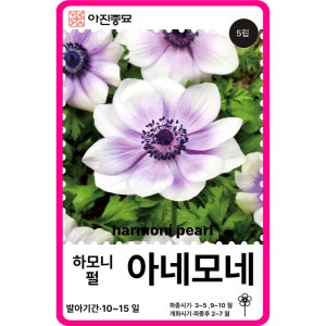 아네모네 씨앗 F1교배종 하모니 펄 / 5립 아네모네 종자 꽃씨 몰 고급 종자 꽃꽂이