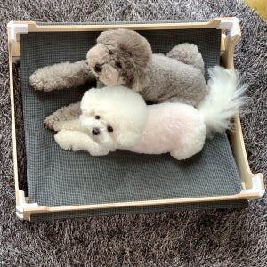 반려동물용 침대 강아지 고양이해먹[모듈BIG 차콜엠보스]