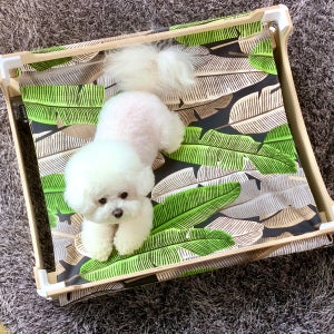 반려동물용 침대 강아지 고양이해먹[모듈BIG 알로하]