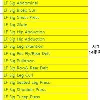 라이프피트니스 시그니처 14종 패키지