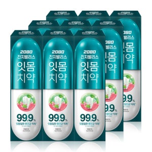 2080 진지발리스 허벌민트 치약 120g x 9개