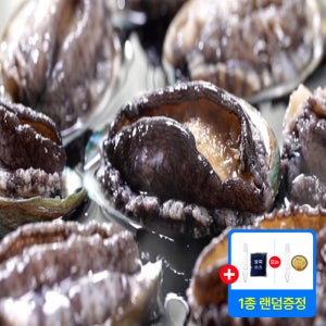 [청해거상] 산지직송 완도 활전복 꼬마 30-40미 1kg 해물라면