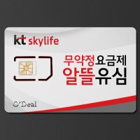KT 스카이라이프 후불유심 알뜰유심 알뜰폰 요금제 자급제 별정통신 유심칩 유심 백원