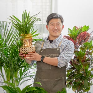 동양란 서양란 영전 승진 취임 개업화분 호접란 만천홍 축하난 고급 식물선물 공기정화