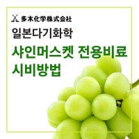 다기화학 샤인머스켓전용비료 시비방법