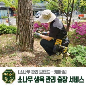 케어솔 소나무 관리 영양제 비료 출장 서비스