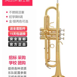 트럼펫 트럼본 색소폰 재즈랑 연주 초보 성인 관악기 황동칠금강 B JZTR-300