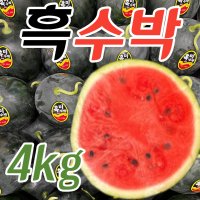 흑수박 꿀수박 흑미 고당도 아삭아삭 달콤한 봄수박 블랙펄 4kg