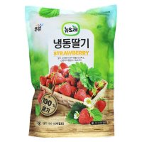 냉동 딸기 1kg 이집트산