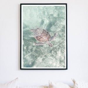 돈들어오는그림 풍수지리 거북이 바다풍경사진 포스터 거실액자 개업식선물 2종 1 A2