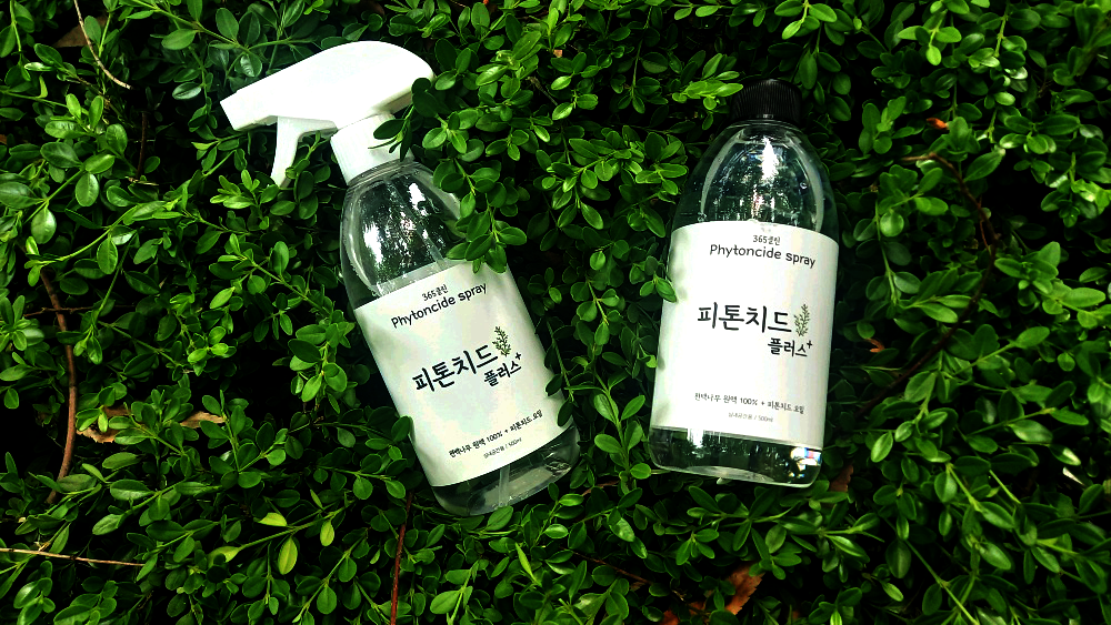 오토데이즈 이미지