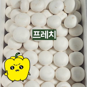 프레치 국내산 양송이버섯