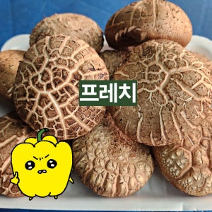 프레치 국내산 표고버섯