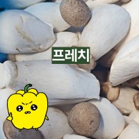 프레치 국내산 총알버섯 미니새송이버섯 2kg