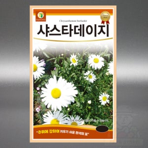 다농 샤스타데이지 1kg 야생화 데이지 국화과 다년생 꽃 씨앗 씨 종자 대포장 대용량
