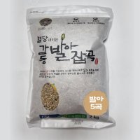 혈당 내리는 감동 발아 잡곡 발아 5곡 2kg