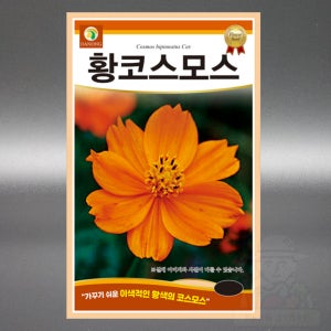 황코스모스 1kg 대포장 코스모스씨앗 야생화 국화과 일년생 꽃 씨앗 씨 종자