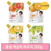 스무디만들기 카페재료 음료베이스 500g 유자 자몽 청포도 한라봉 액상차