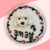 강아지 생일 애견 저 알러지 라이스 케이크 비 동물성 미니