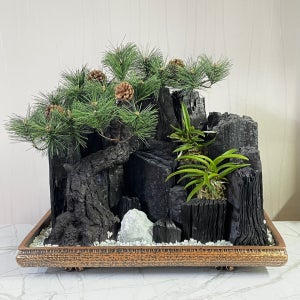 공기정화 숯화분 숲속의 정원 (대)