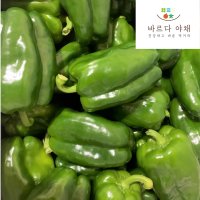 바르다야채 국산 못난이 청피망 1kg 3kg 5kg 10kg