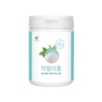 핀란드 자일리톨 가루 400g 천연 감미료 분말