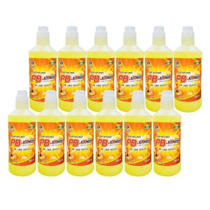 PB 엑스퍼트 리필 1000ml 12개 다목적 세정제 청소세제 pb1 expert