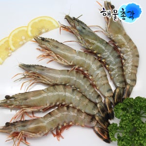 해물총각 냉동새우 500g 블랙타이거 흰다리새우 찜 대하구이