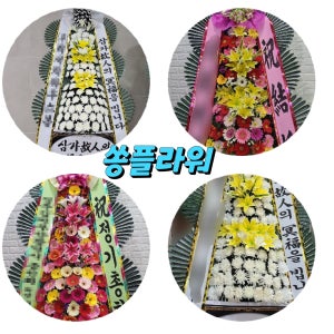 화환 부산 하단동 괴정동 신평동 감천동 화환전문 다대동 당리동 구평동 장림동 당일화환