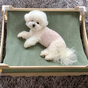 두그루 반려동물용 침대 강아지 고양이해먹[모듈BIG 카키엠보스]