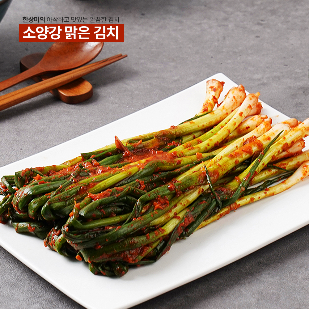 맛있는 국산 파김치 1kg 전라도 맛집 쪽파 주문