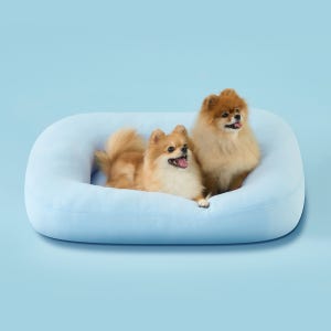 두잇 썸머쿠션 강아지 여름 쿨매트 냉감 방석 M