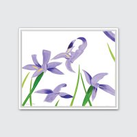 Purple Irises on White, Alex Katz, 알렉스 카츠