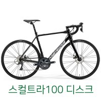 메리다 스컬트라 100 디스크