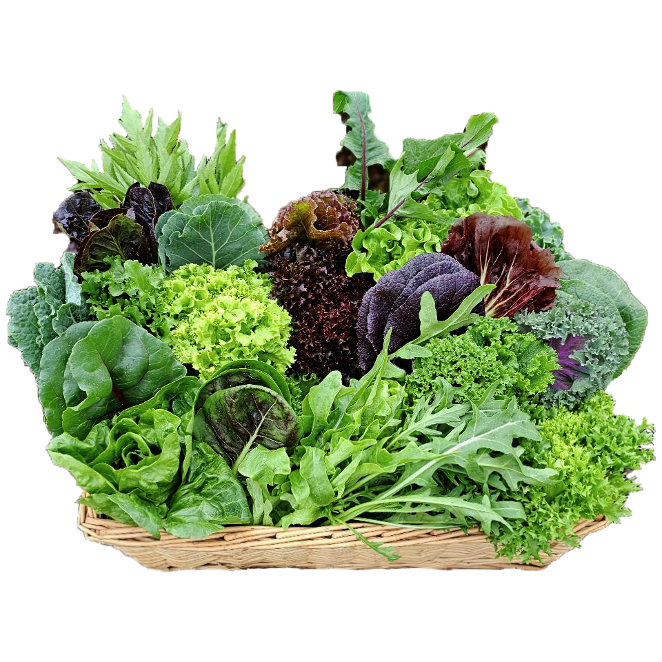 샐러드용 채소 모듬 1kg (3종 이상) (4,420원) (무료)