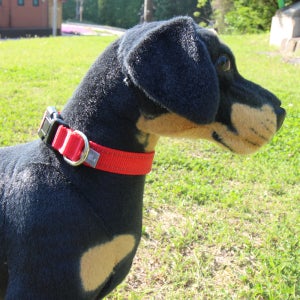 반자네 강아지 목줄 베이직 야광 애견 목줄 BN-23 빨강