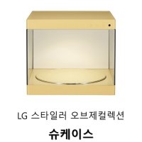 LG 스타일러 슈케이스 옐로우