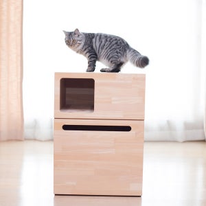 미젠시아 마이펫츠 우트리 복층 화장실 (원목)