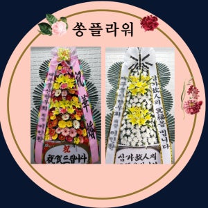 화환전문 서울 역삼동 개포동 청담동 삼성동 대치동 신사동 압구정동 논현동 일원동 당일화환