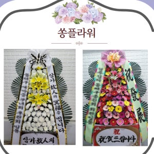 서울시 강남구 역삼동 화환 서울 역삼동 화환배달 역삼 당일 꽃배달 꽃배송