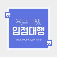 [쇼핑몰 김비서] 쇼핑몰 창업 오픈마켓 입점대행