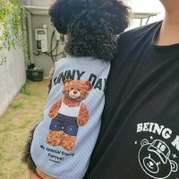 꼼스 강아지 커플룩 시밀러룩 개플룩 강아지옷 곰돌이 티셔츠