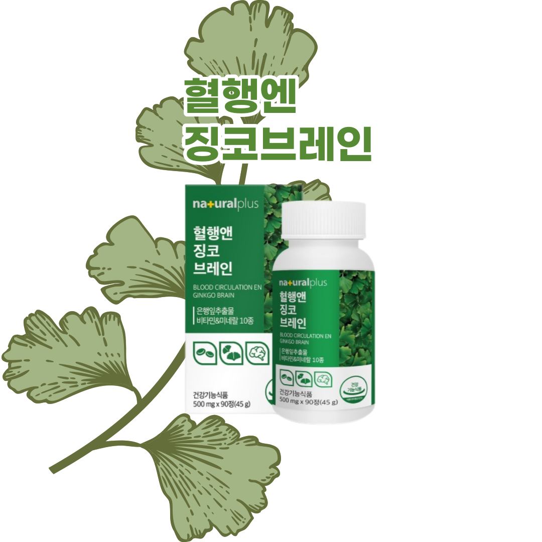 <b>naturalplus</b> 혈행엔 징코브레인 [500mgx90정]