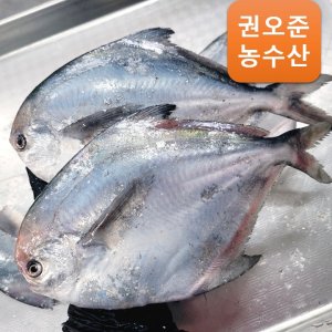 병어 최저가 가성비상품