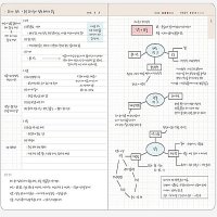 코넬식노트 모눈종이 배움 노트