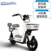 [완조립퀵] 레이윙 디스커버리 프레시 전동스쿠터 S10 48V 750W 16Ah 부터