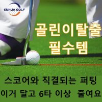 레이저퍼터 스트로크 퍼터 퍼팅 라인 연습 퍼팅기 도구