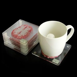 3D 장기 뇌 표본 컵 받침 세트 음료 테이블 코스터 조각 사각형 아크릴 유리 음주 과학자용 선물 10 개/세트