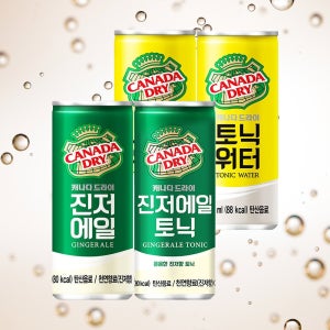 캐나다 드라이 진저 에일 토닉 워터 250ml 각 30캔 총 60캔 캔음료 믹서 음료수