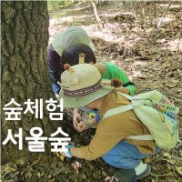 [숲체험] ’서울숲’ 힐링 숲체험 / 깨비의숲마을과 함께 떠나요!